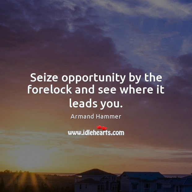 Seize opportunity by the forelock and see where it leads you. Armand Hammer Picture Quote