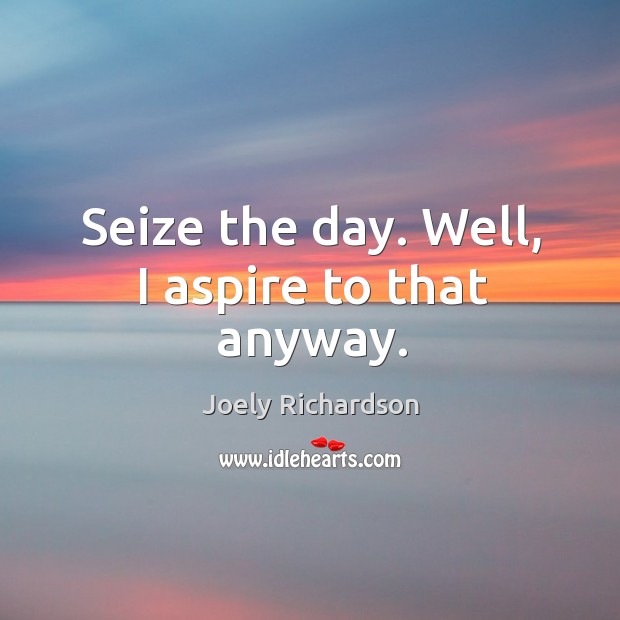 Seize the day. Well, I aspire to that anyway. Joely Richardson Picture Quote
