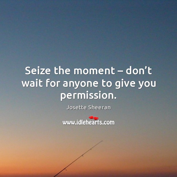 Seize the moment – don’t wait for anyone to give you permission. Josette Sheeran Picture Quote