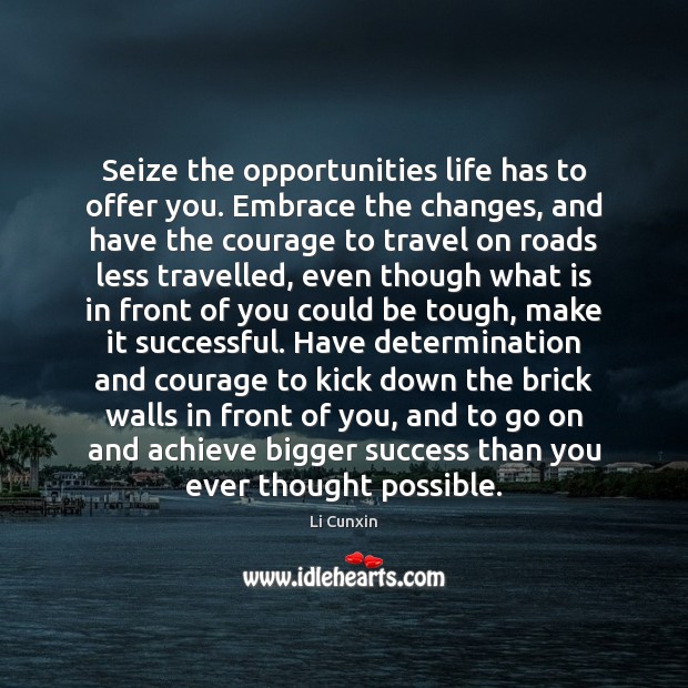 Seize the opportunities life has to offer you. Embrace the changes, and Determination Quotes Image