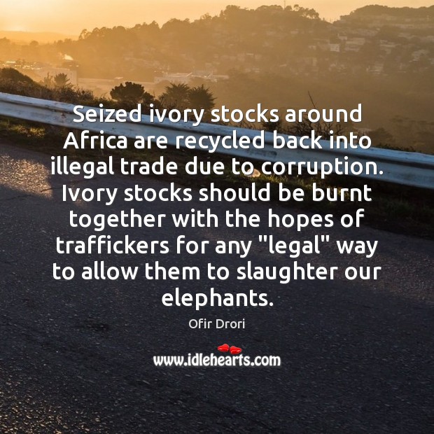 Seized ivory stocks around Africa are recycled back into illegal trade due Legal Quotes Image