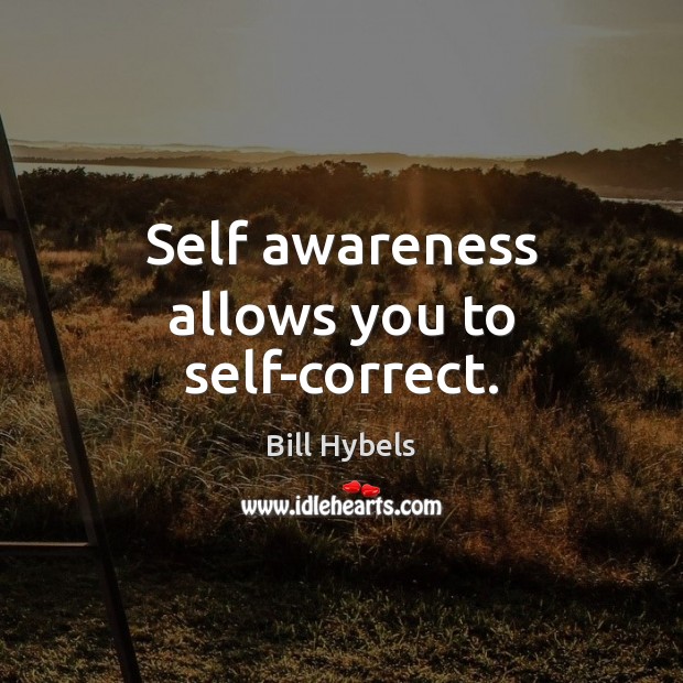 Self awareness allows you to self-correct. Bill Hybels Picture Quote