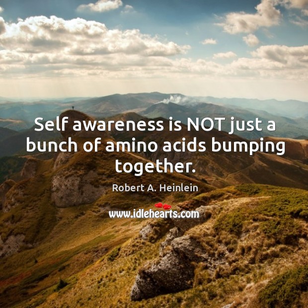 Self awareness is NOT just a bunch of amino acids bumping together. Robert A. Heinlein Picture Quote
