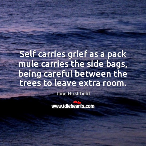 Self carries grief as a pack mule carries the side bags, being Jane Hirshfield Picture Quote