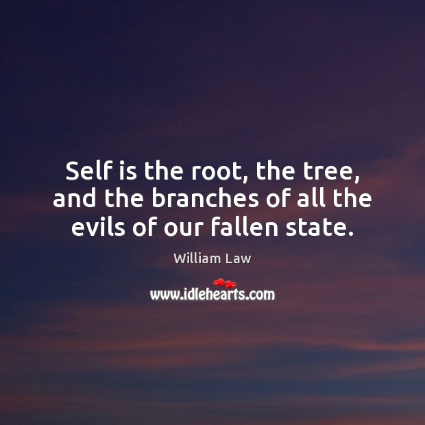 Self is the root, the tree, and the branches of all the evils of our fallen state. William Law Picture Quote