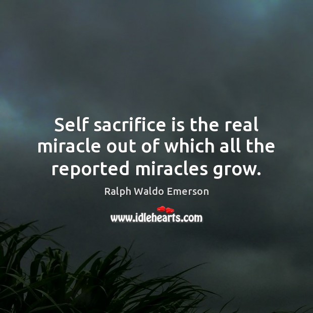 Self sacrifice is the real miracle out of which all the reported miracles grow. Ralph Waldo Emerson Picture Quote