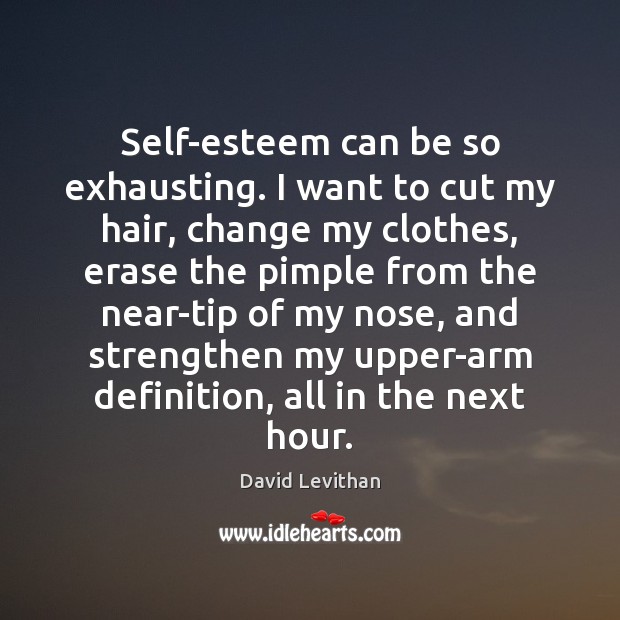 Self-esteem can be so exhausting. I want to cut my hair, change David Levithan Picture Quote