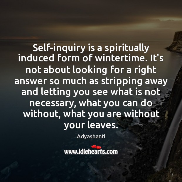 Self-inquiry is a spiritually induced form of wintertime. It’s not about looking Adyashanti Picture Quote