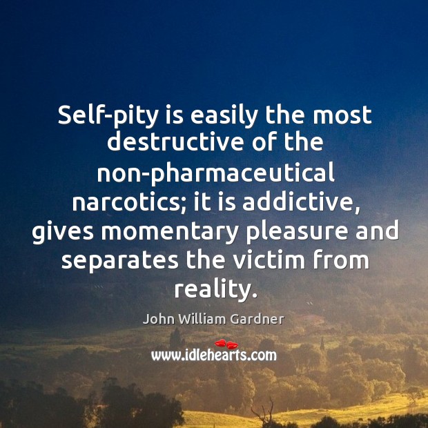 Self-pity is easily the most destructive of the non-pharmaceutical narcotics John William Gardner Picture Quote