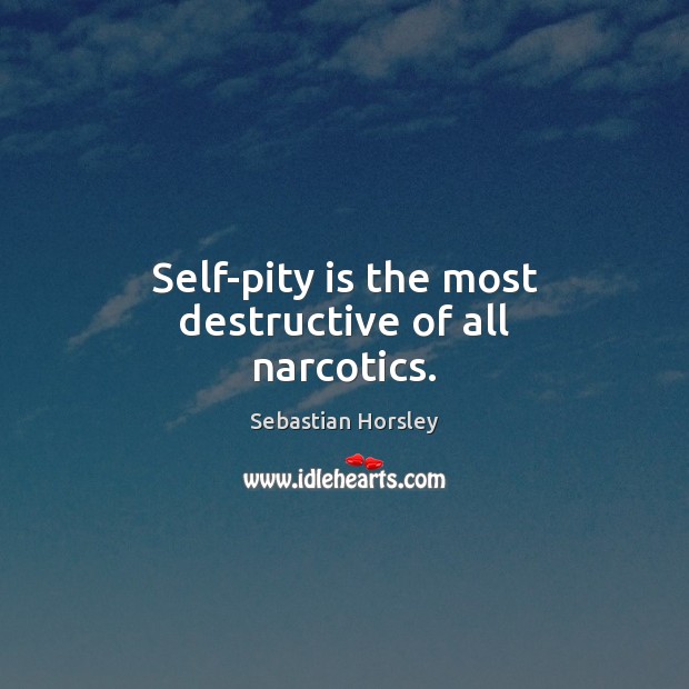 Self-pity is the most destructive of all narcotics. Sebastian Horsley Picture Quote