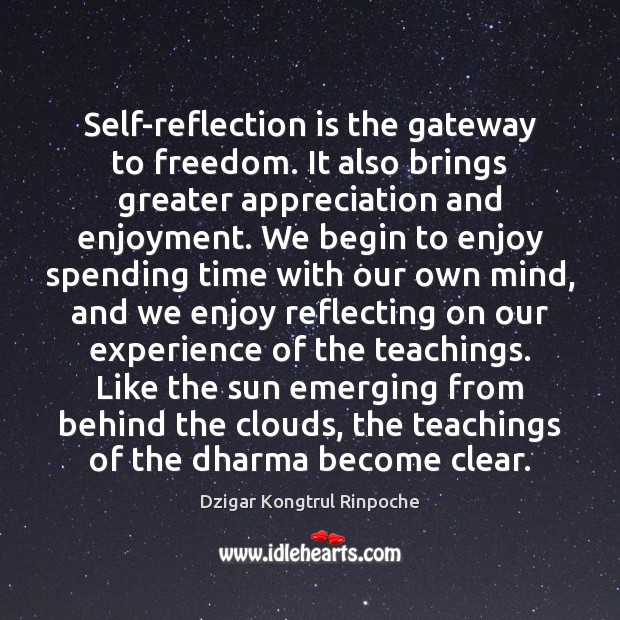 Self-reflection is the gateway to freedom. It also brings greater appreciation and Dzigar Kongtrul Rinpoche Picture Quote