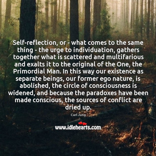 Self-reflection, or – what comes to the same thing – the urge 