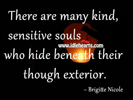 Sensitive souls who hide beneath their though exterior. Brigitte Nicole Picture Quote