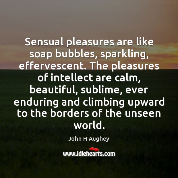 Sensual pleasures are like soap bubbles, sparkling, effervescent. The pleasures of intellect John H Aughey Picture Quote