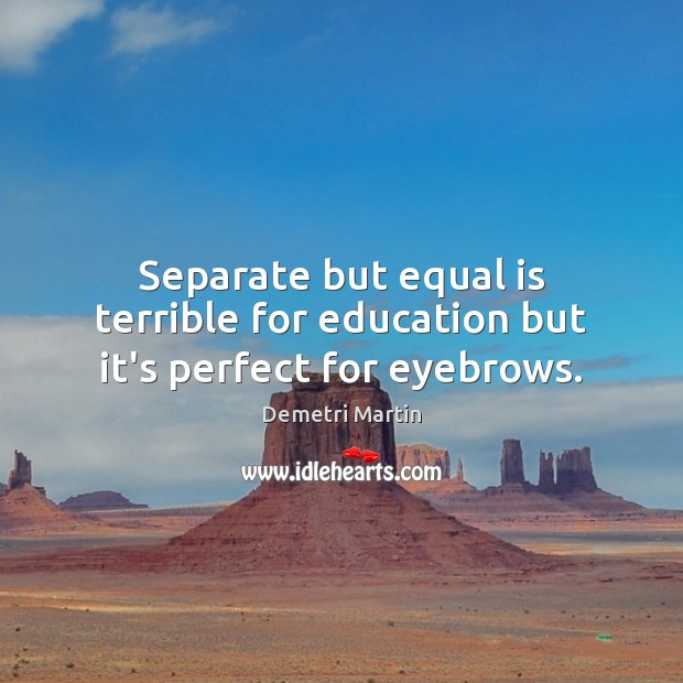 Separate but equal is terrible for education but it’s perfect for eyebrows. Demetri Martin Picture Quote