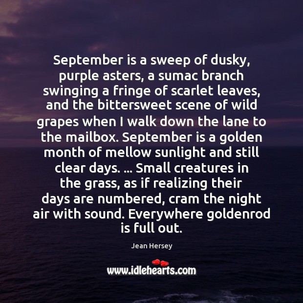 September is a sweep of dusky, purple asters, a sumac branch swinging Jean Hersey Picture Quote