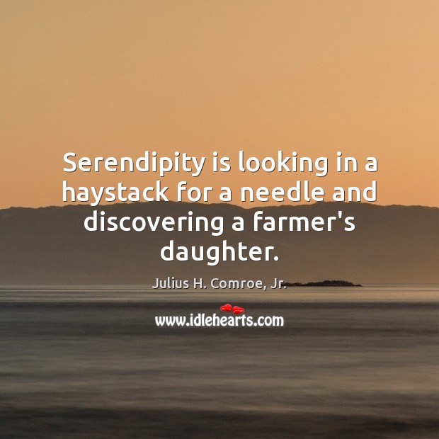 Serendipity is looking in a haystack for a needle and discovering a farmer’s daughter. Julius H. Comroe, Jr. Picture Quote