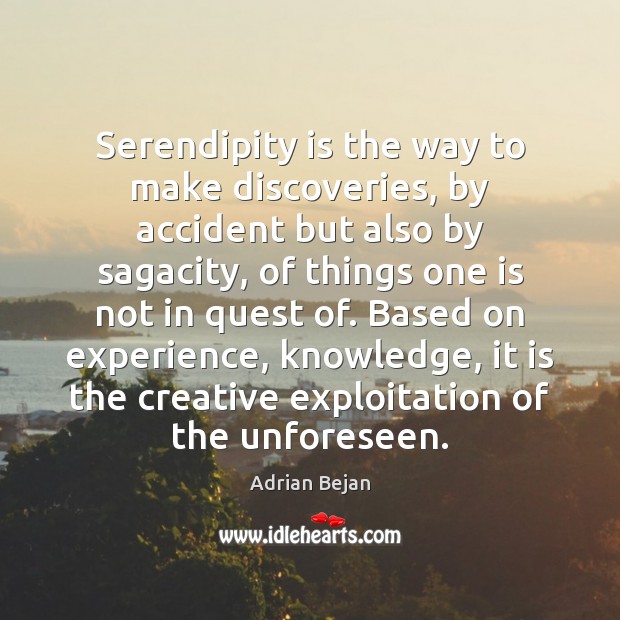 Serendipity is the way to make discoveries, by accident but also by Adrian Bejan Picture Quote
