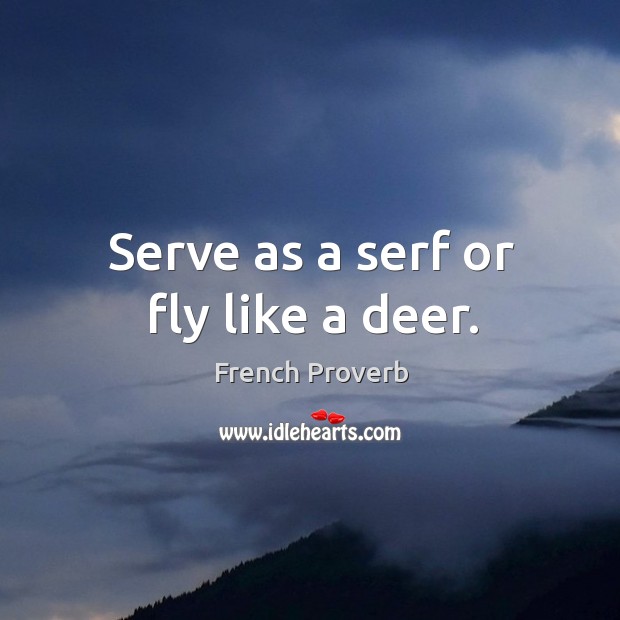 Serve as a serf or fly like a deer. Image