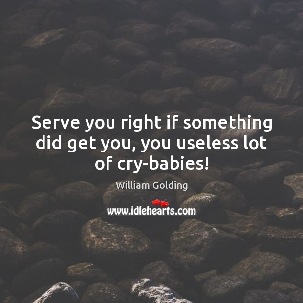 Serve you right if something did get you, you useless lot of cry-babies! William Golding Picture Quote