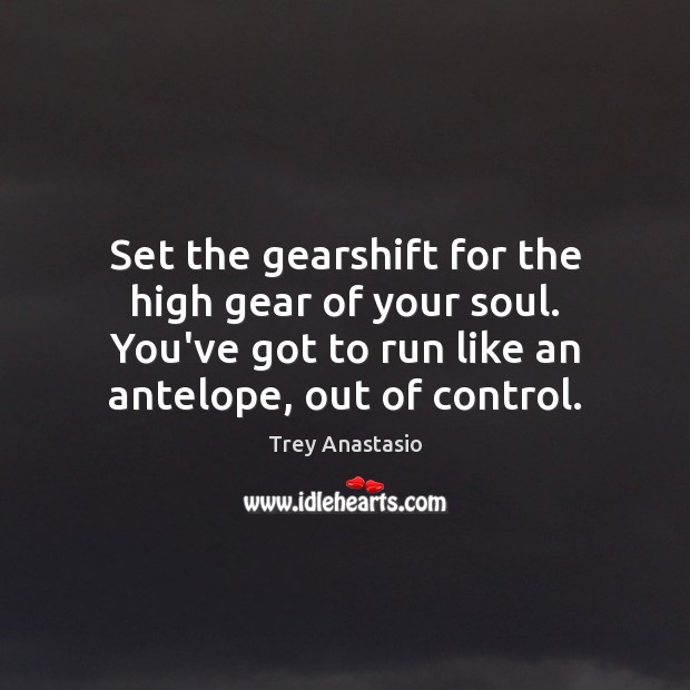 Set the gearshift for the high gear of your soul. You’ve got 