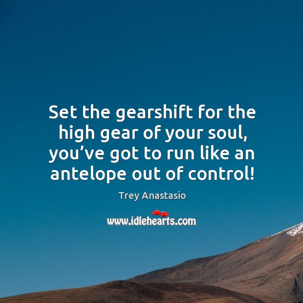 Set the gearshift for the high gear of your soul, you’ve got to run like an antelope out of control! 