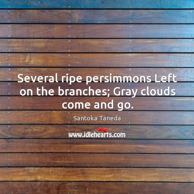Several ripe persimmons Left on the branches; Gray clouds come and go. Santoka Taneda Picture Quote