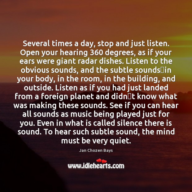 Several times a day, stop and just listen. Open your hearing 360 degrees, Jan Chozen Bays Picture Quote
