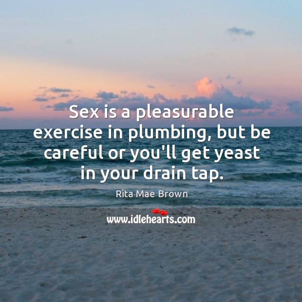 Sex is a pleasurable exercise in plumbing, but be careful or you’ll Rita Mae Brown Picture Quote