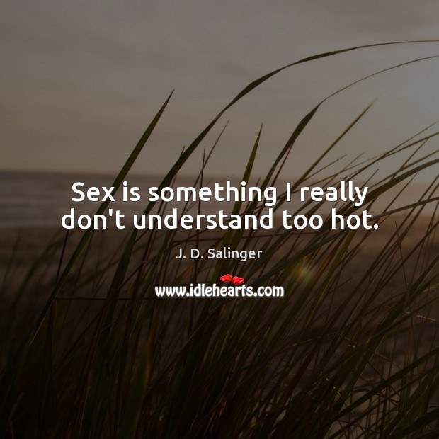 Sex is something I really don’t understand too hot. Image