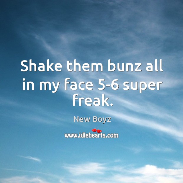 Shake them bunz all in my face 5-6 super freak. New Boyz Picture Quote