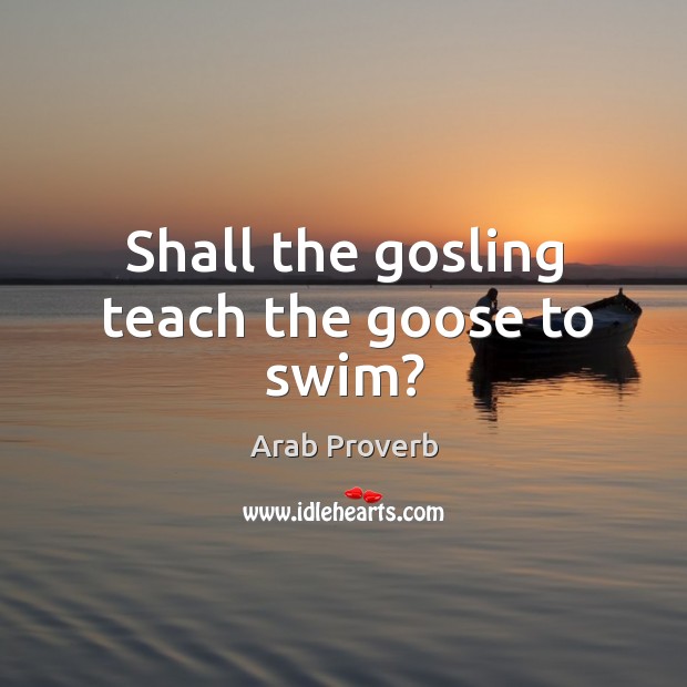 Shall the gosling teach the goose to swim? Arab Proverbs Image