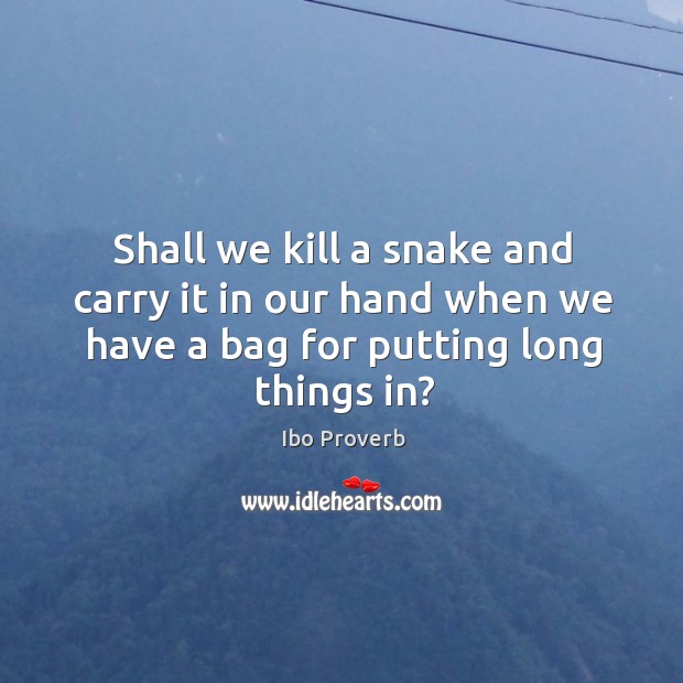 Shall we kill a snake and carry it in our hand when we have a bag Ibo Proverbs Image