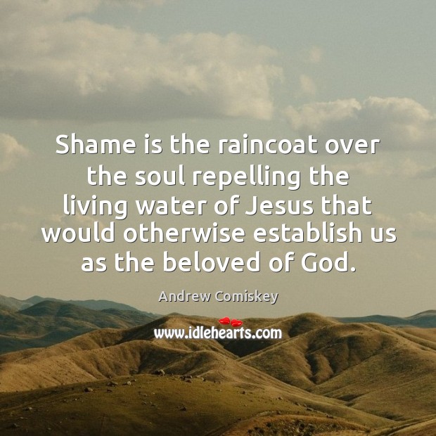 Shame is the raincoat over the soul repelling the living water of Andrew Comiskey Picture Quote