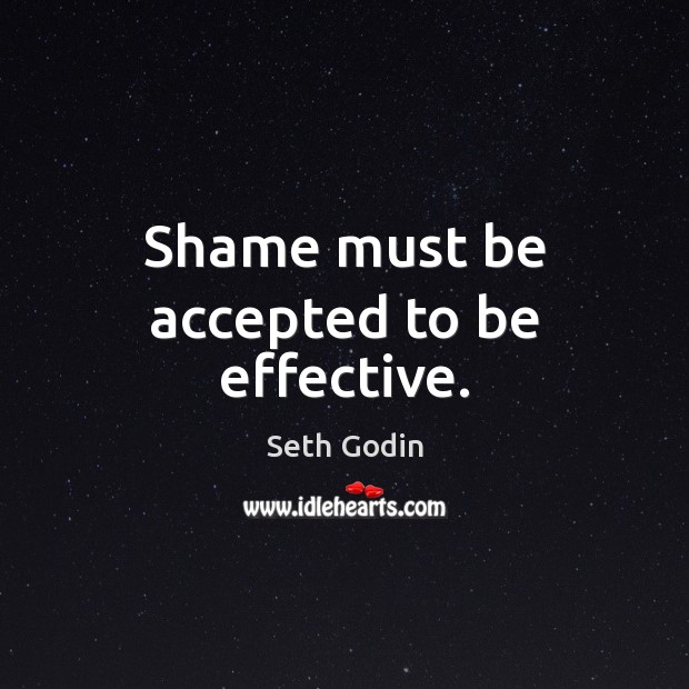 Shame must be accepted to be effective. Seth Godin Picture Quote