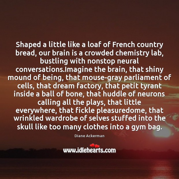 Shaped a little like a loaf of French country bread, our brain Diane Ackerman Picture Quote