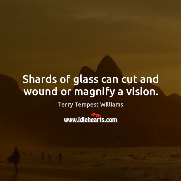 Shards of glass can cut and wound or magnify a vision. Terry Tempest Williams Picture Quote