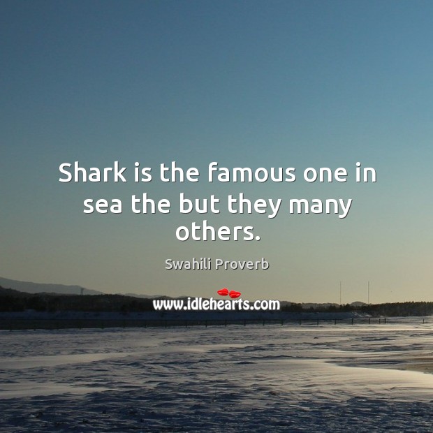 Shark is the famous one in sea the but they many others. Swahili Proverbs Image