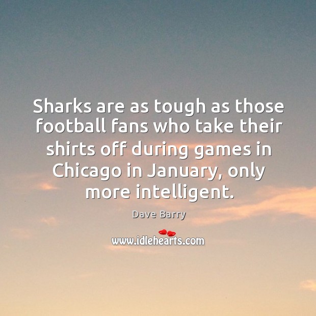 Sharks are as tough as those football fans who take their shirts off during games in chicago in january Dave Barry Picture Quote