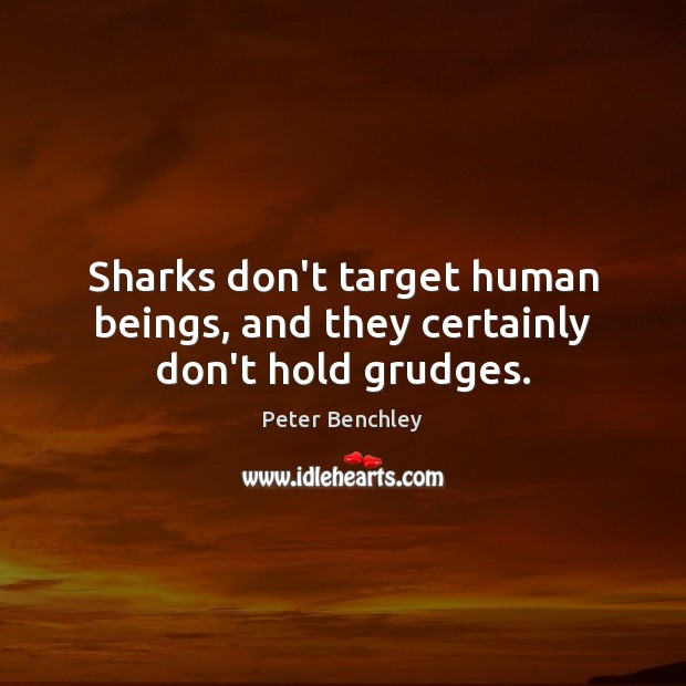 Sharks don’t target human beings, and they certainly don’t hold grudges. Image