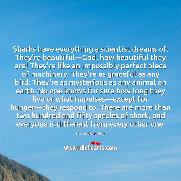 Sharks have everything a scientist dreams of. They’re beautiful―God, how beautiful Peter Benchley Picture Quote