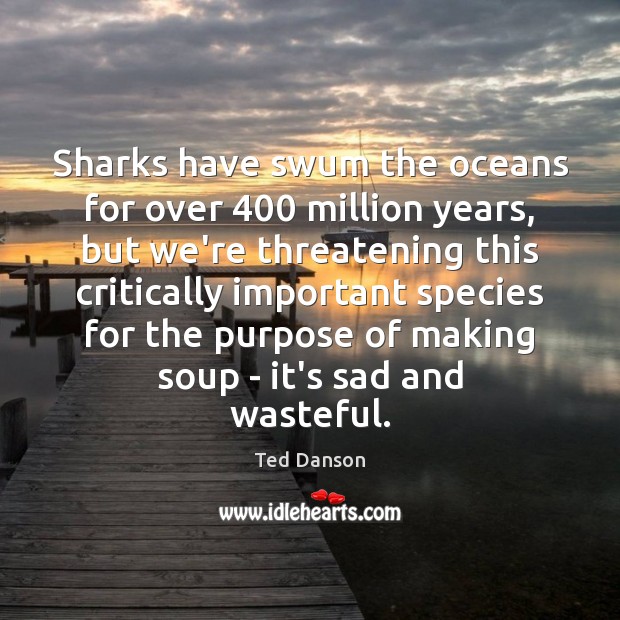 Sharks have swum the oceans for over 400 million years, but we’re threatening Ted Danson Picture Quote