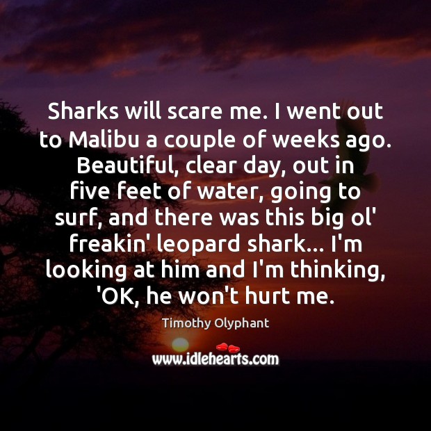 Sharks will scare me. I went out to Malibu a couple of Timothy Olyphant Picture Quote