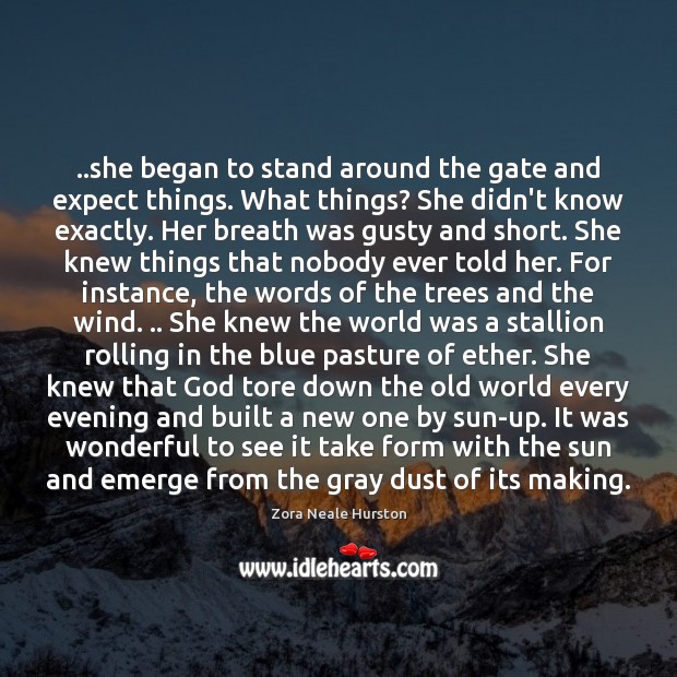 ..she began to stand around the gate and expect things. What things? Zora Neale Hurston Picture Quote