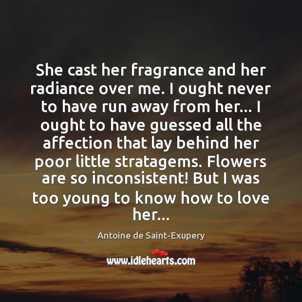 She cast her fragrance and her radiance over me. I ought never Antoine de Saint-Exupery Picture Quote
