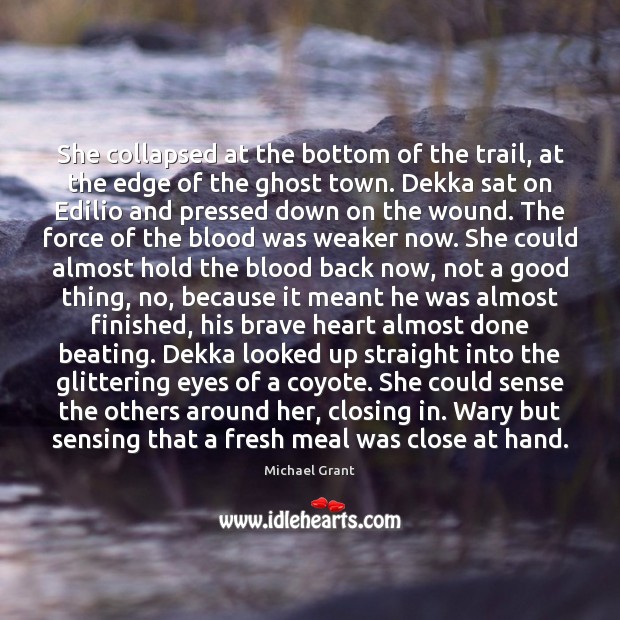 She collapsed at the bottom of the trail, at the edge of 