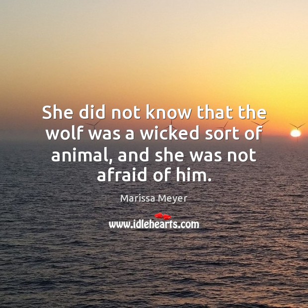 She did not know that the wolf was a wicked sort of animal, and she was not afraid of him. Marissa Meyer Picture Quote