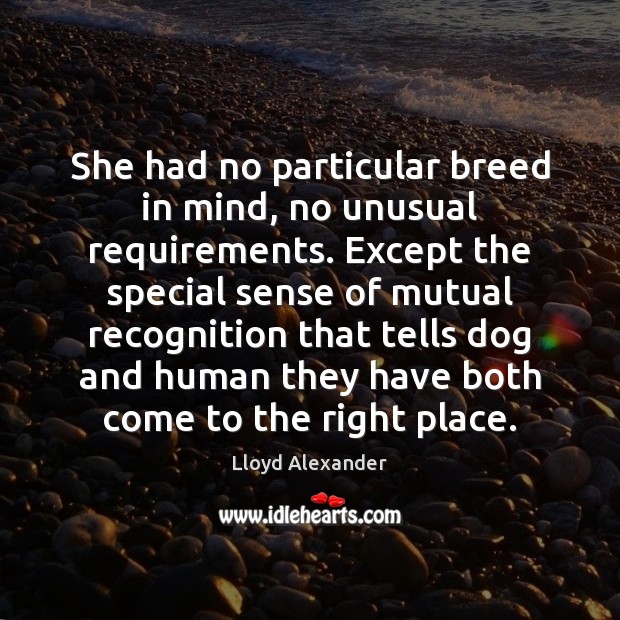 She had no particular breed in mind, no unusual requirements. Except the Lloyd Alexander Picture Quote