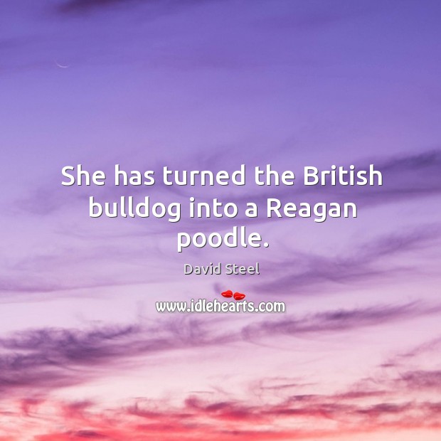 She has turned the british bulldog into a reagan poodle. David Steel Picture Quote