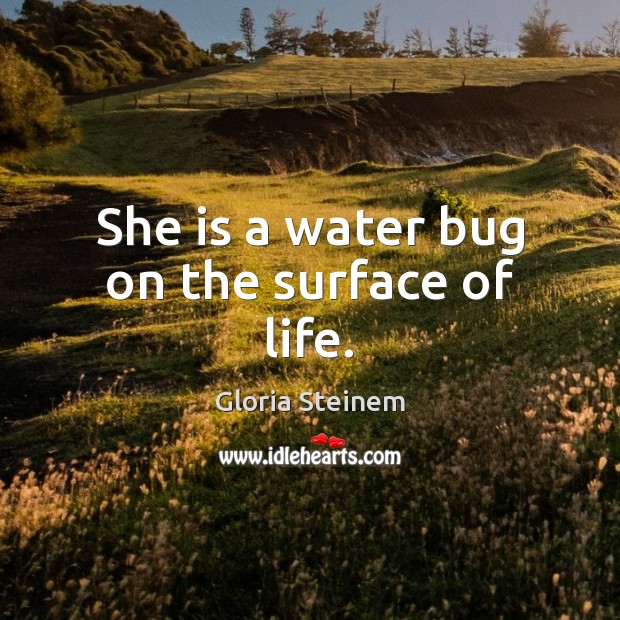 She is a water bug on the surface of life. Image